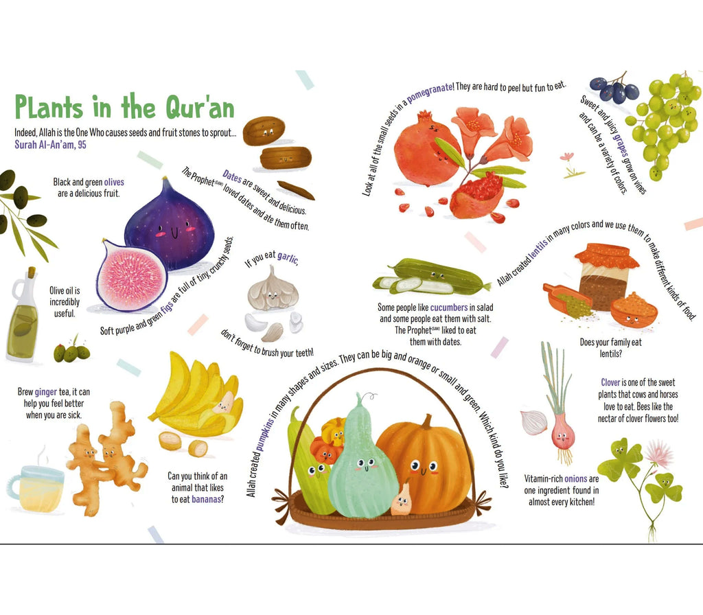 First Words From the Quran | Children's Islamic Board Book Oak Creative Designs