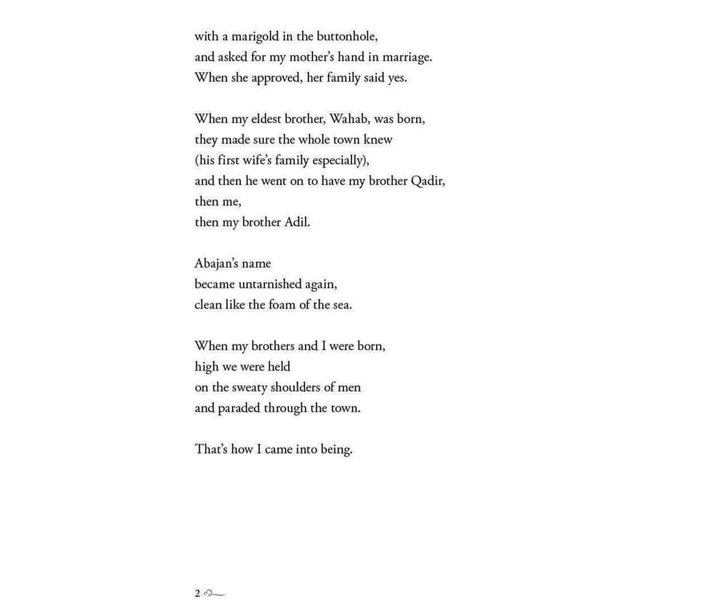 Zarina Divided | Hardcover Harper Collins Publishers