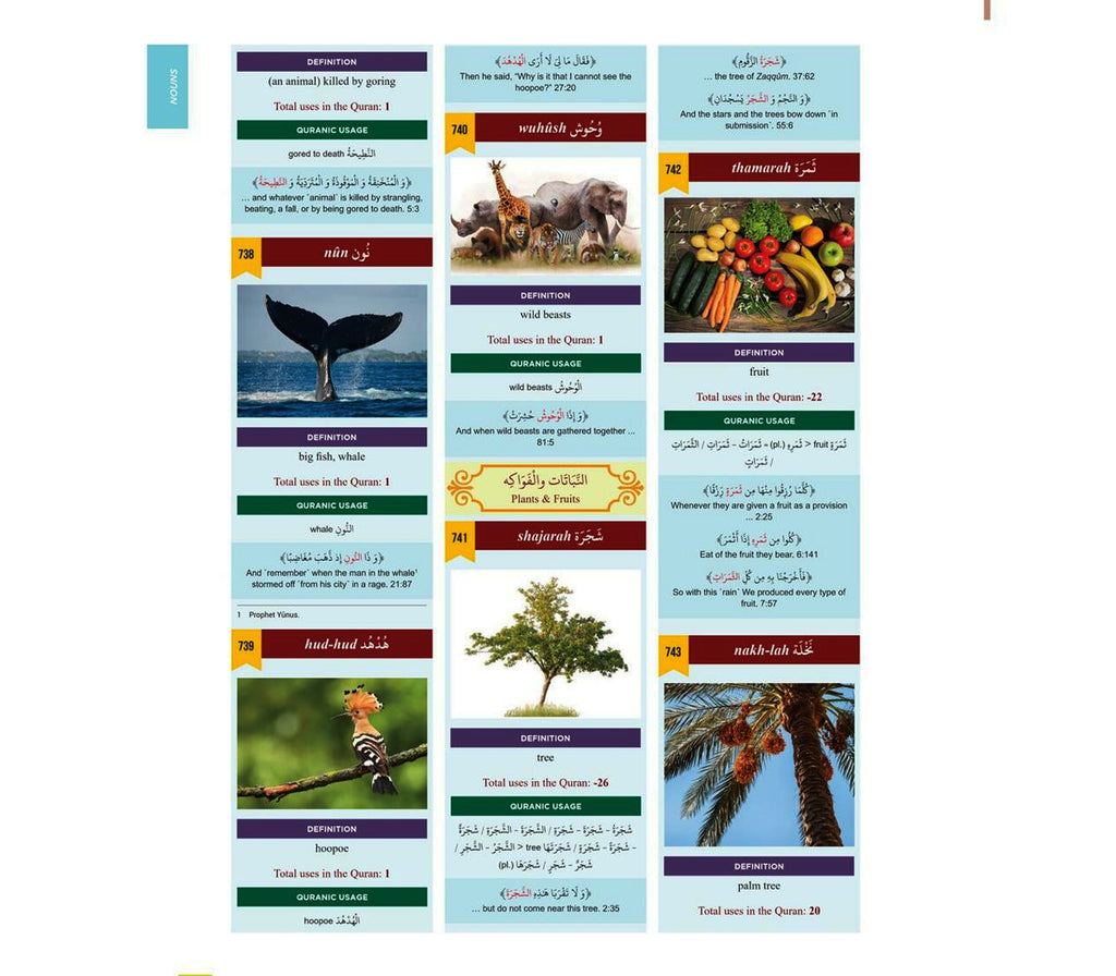 The Clear Quran Series Dictionary By Dr. Mustafa Khattab Muslim Memories