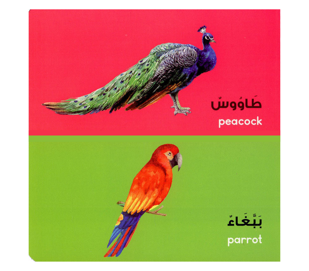 Arabic Words Board Book GOODWORD